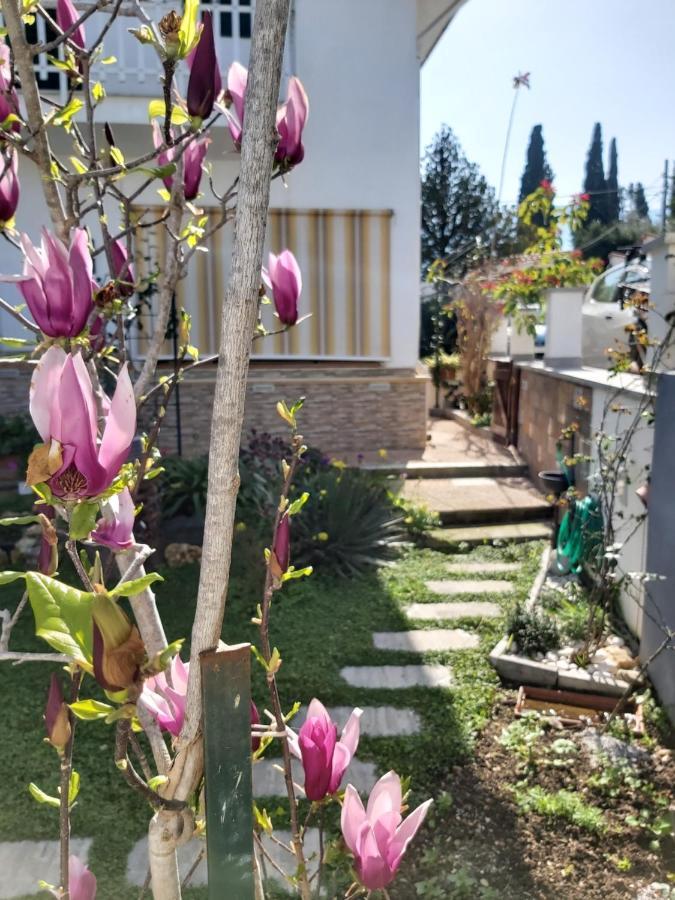 Willa La Perla Della Conca D'Oro Palermo Zewnętrze zdjęcie